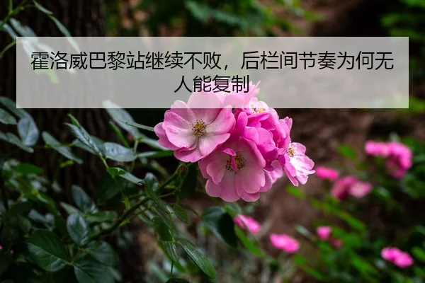 霍洛威巴黎站继续不败，后栏间节奏为何无人能复制