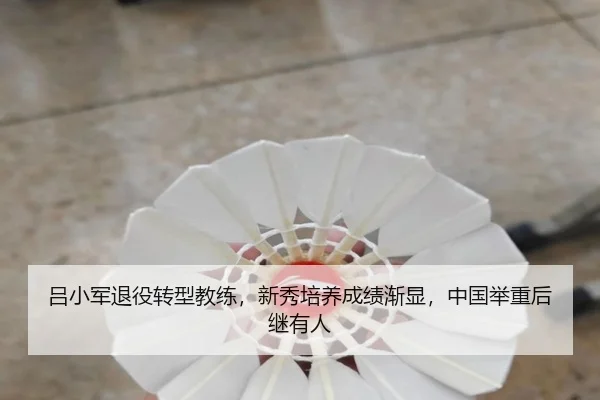lv-xiao-jun-tui-yi-zhuan-xing-jiao-lian-xin-xiu-pei-yang-cheng-ji-jian-xian-zhong-guo-ju-zhong-hou-ji-you-ren-3-244.jpg