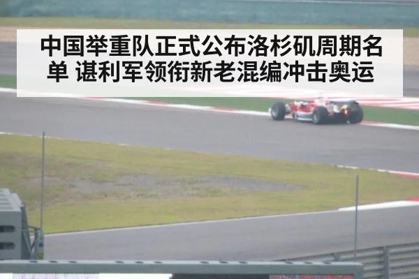 中国举重队正式公布洛杉矶周期名单 谌利军领衔新老混编冲击奥运
